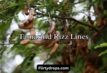 Tamarind Rizz Lines Tamarind Rizz Lines