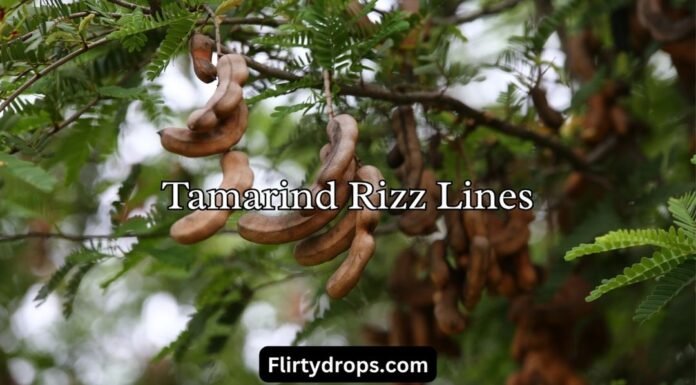 Tamarind Rizz Lines Tamarind Rizz Lines
