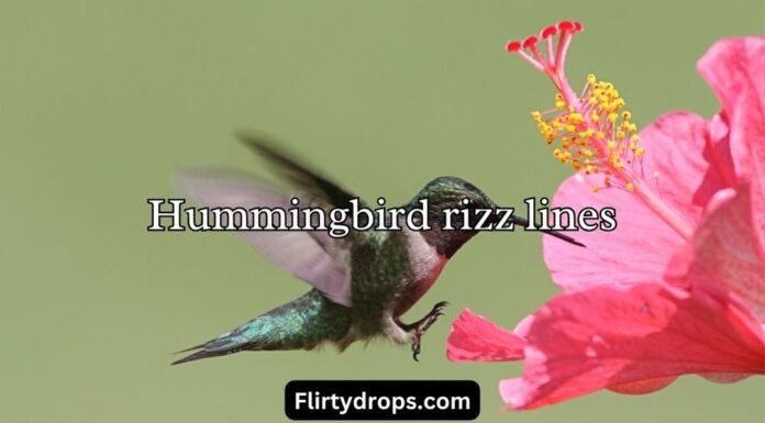 Hummingbird rizz lines Hummingbird rizz lines