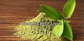 Matcha Rizz Lines Matcha Rizz Lines