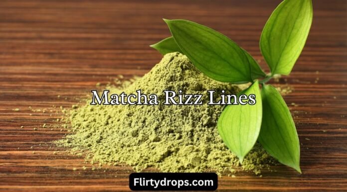 Matcha Rizz Lines Matcha Rizz Lines
