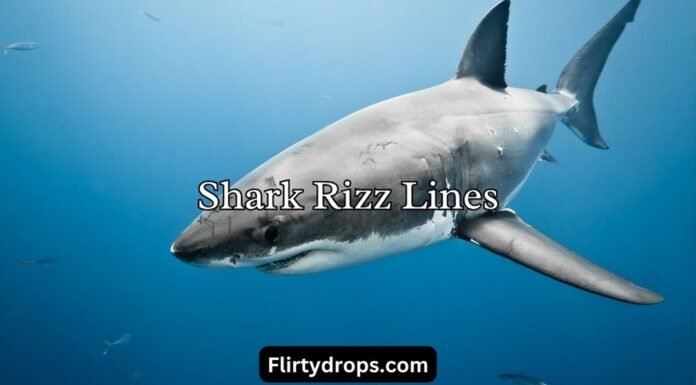 Shark Rizz Lines Shark Rizz Lines